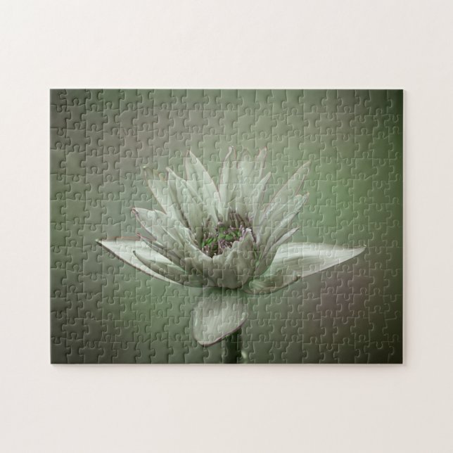 Waterlily green tone puzzle pussel (Horisontell)