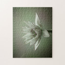 Waterlily green tone puzzle pussel
