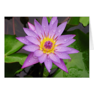 Waterlily Hälsningskort