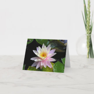 Waterlily Notecard Kort