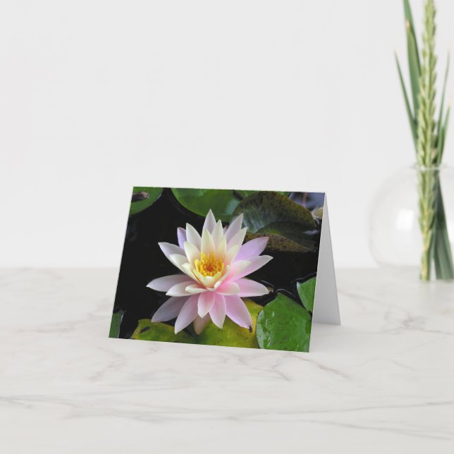 Waterlily Notecard Kort (Framsida)