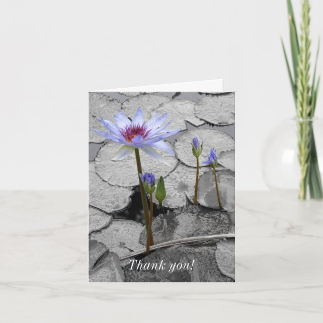 Waterlily PermanBeauty Tack Kort (Framsida)