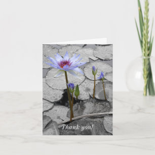 Waterlily PermanBeauty Tack Kort