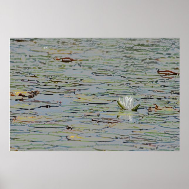 Waterlily Pond Sjö Flower I Poster (Framsidan)