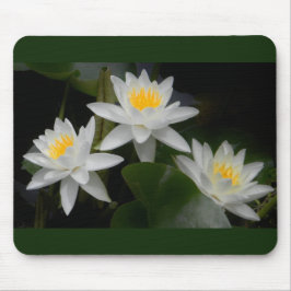 Waterlily Trio Mousepad Musmatta