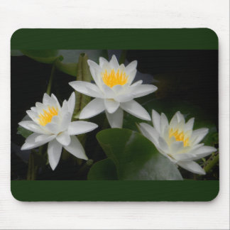 Waterlily Trio Mousepad Musmatta