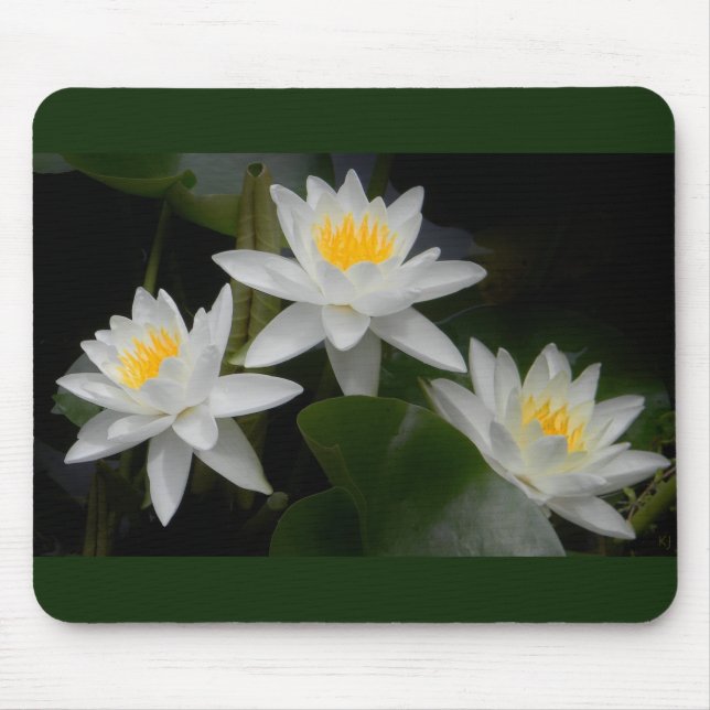 Waterlily Trio Mousepad Musmatta (Framsidan)
