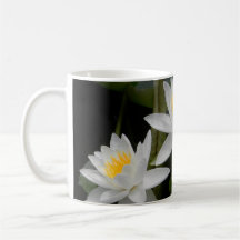 Waterlily Trio Mugg
