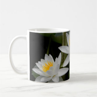 Waterlily Trio Mugg