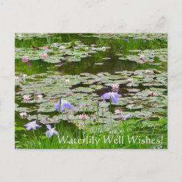 Waterlily well Önskemål! Vykort