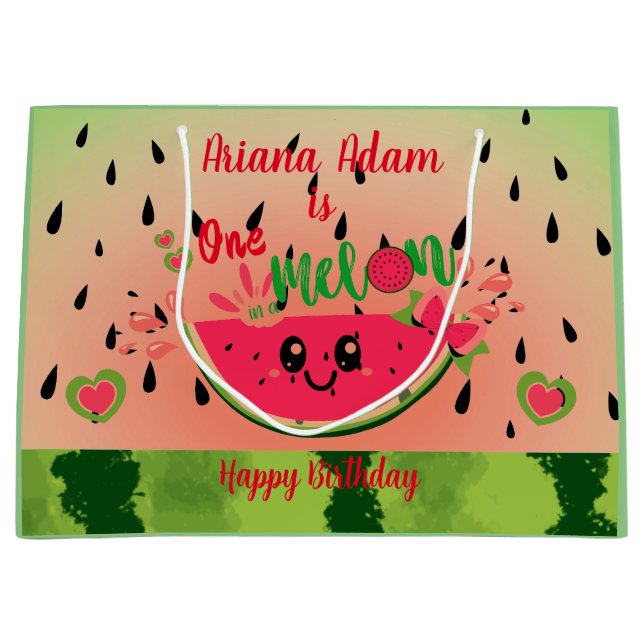 Watermelon One i Melon Girl's First Birthday (Framsidan)