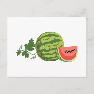Watermelon Vine Vykort