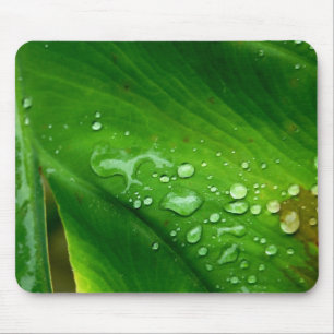 Waterproof Mousepad Musmatta