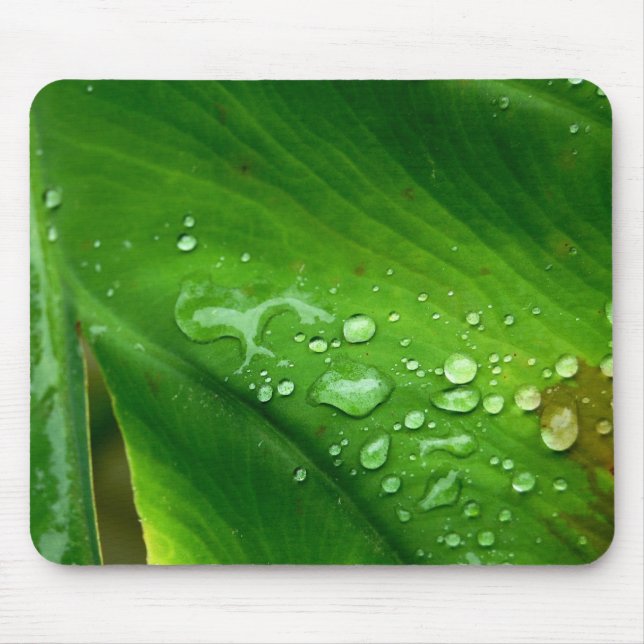 Waterproof Mousepad Musmatta (Framsidan)