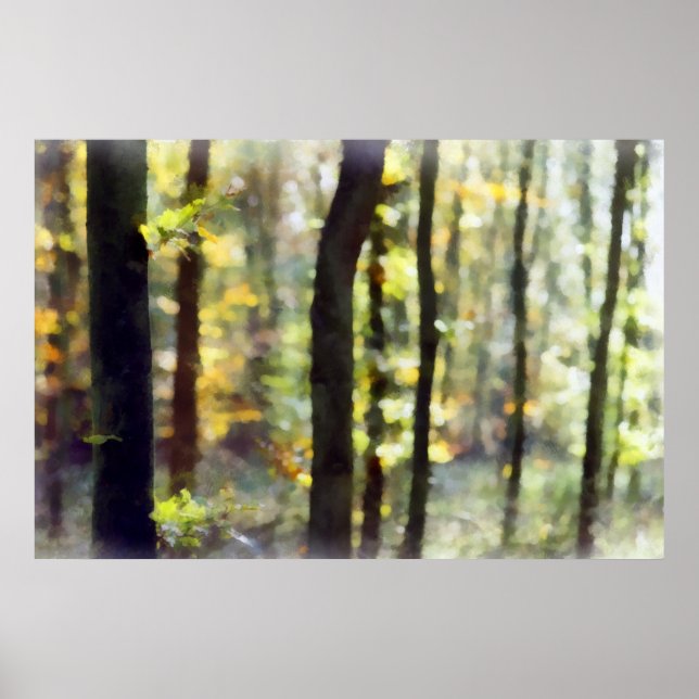 Watery Skogen Poster (Framsidan)