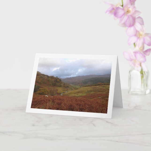 Watkin Väg, Snowdonia, Wales Kort (Orkide)