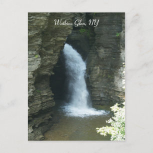 Watkins Glen, NY Vykort