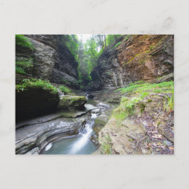 Watkins Glen State Park, New York Vykort