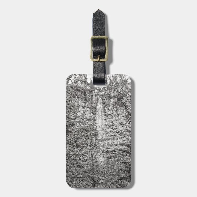 Watson Falls Bagagebricka (Vertikal Framsida)