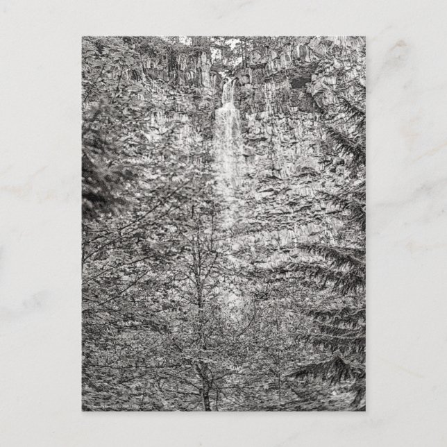 Watson Falls Vykort (Framsida)