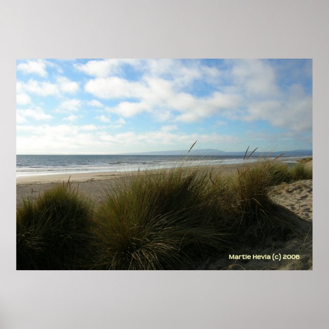 Watsonville Beach Poster (Framsidan)