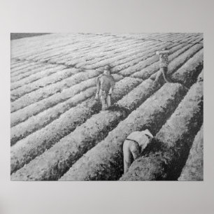 Watsonville Migrant Mexikanska arbetare Poster