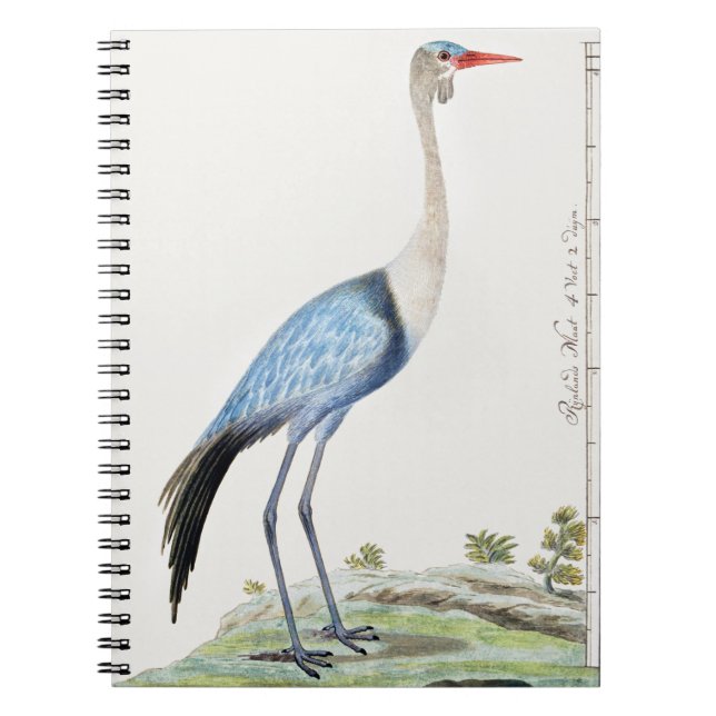 Wattled Crane Anteckningsbok (Framsidan)