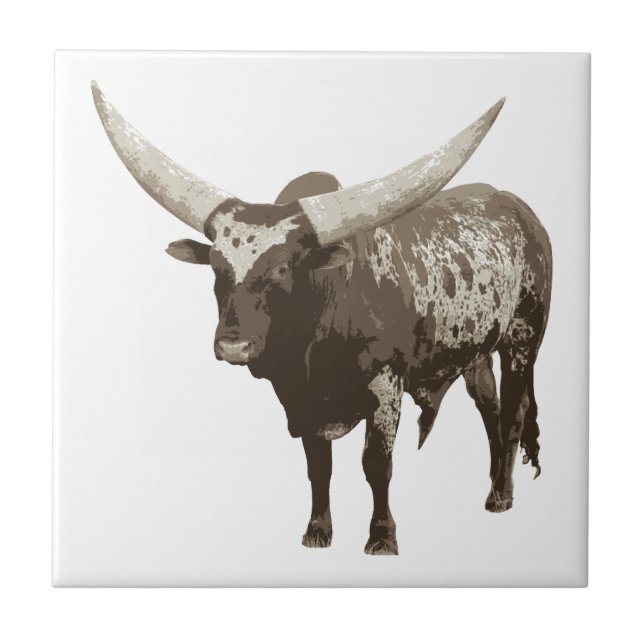 Watusi Cow Kakelplatta (Framsidan)