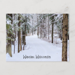 Wausau Wisconsin in Winter Vykort