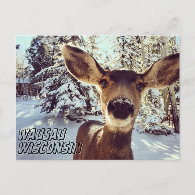 Wausau Wisconsin vycard Cute Hjort Vykort (Framsida)