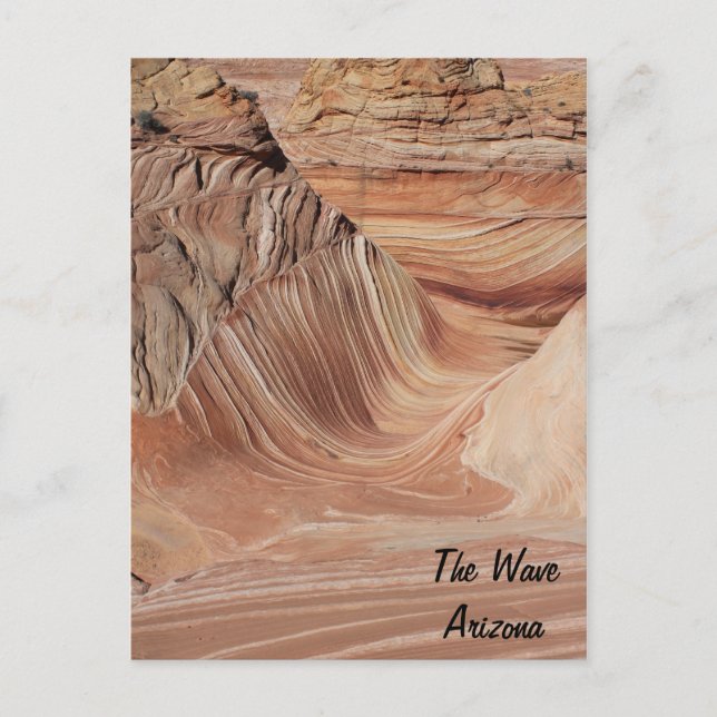 Wave, Arizona Vykort (Framsida)