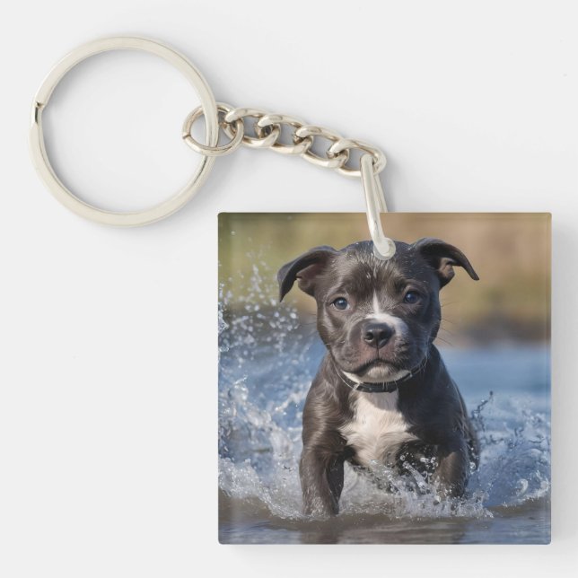 "Wave Chaser: A Staffy Puppy at Play in Ocean" (Framsidan)