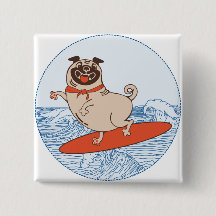 Wave ridning lycklig pug hund på yfboard