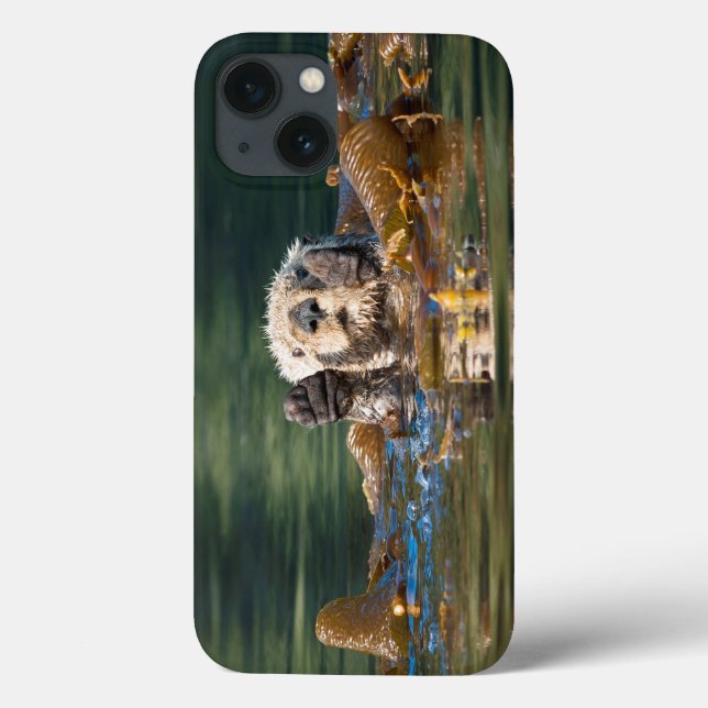 Wave Sea Otter (Baksida)