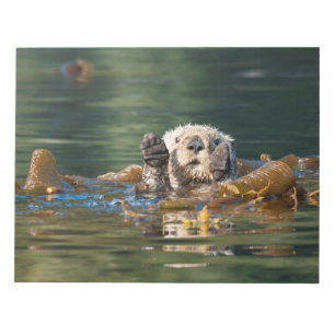 Wave Sea Otter Anteckningsblock