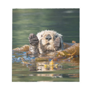 Wave Sea Otter Anteckningsblock