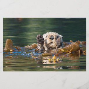 Wave Sea Otter Brevpapper