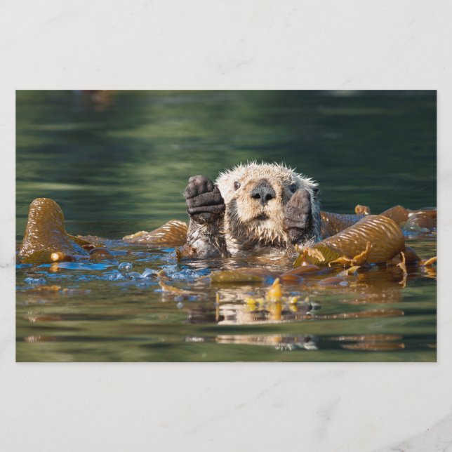 Wave Sea Otter Brevpapper (Framsida)