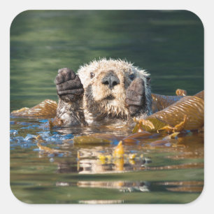 Wave Sea Otter Fyrkantigt Klistermärke