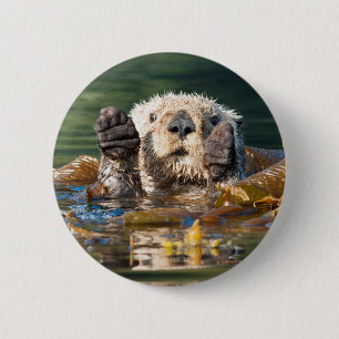 Wave Sea Otter Knapp