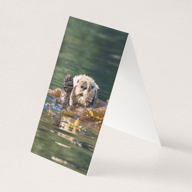 Wave Sea Otter Kort (Baksida)