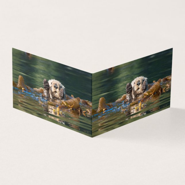 Wave Sea Otter Kort (Utsida)