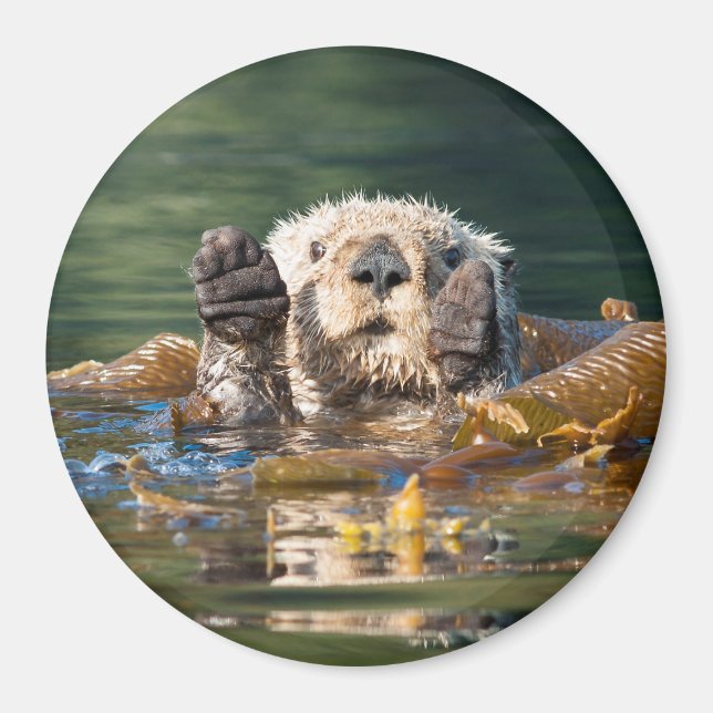 Wave Sea Otter Magnet (Framsidan)