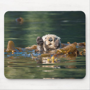 Wave Sea Otter Musmatta