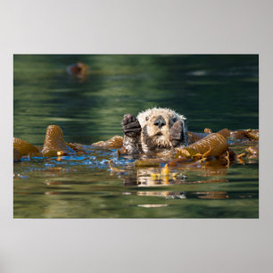 Wave Sea Otter Poster