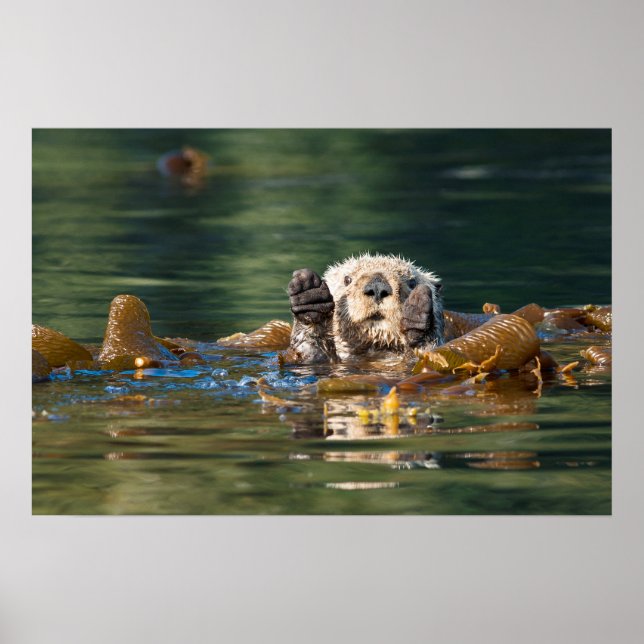 Wave Sea Otter Poster (Framsidan)