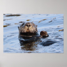 Wave Sea Otter