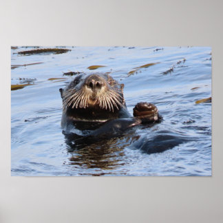 Wave Sea Otter Poster