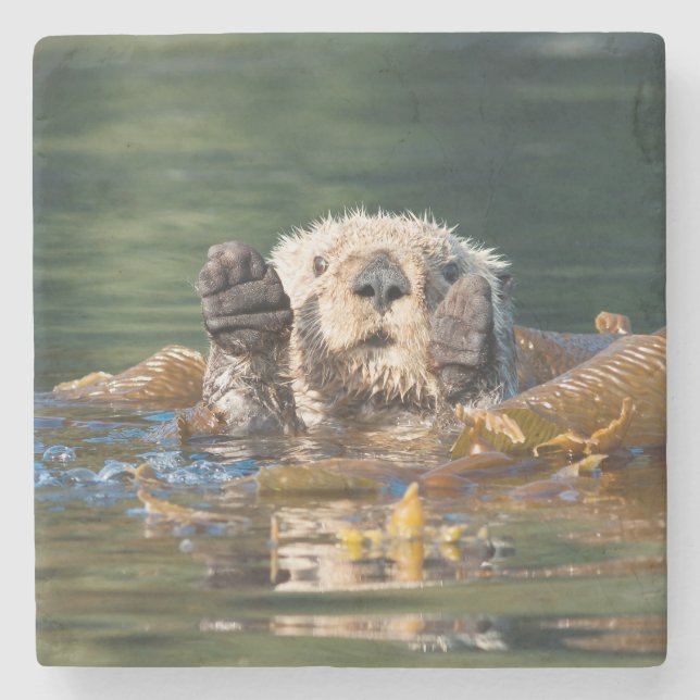 Wave Sea Otter Stenunderlägg (Framsidan)