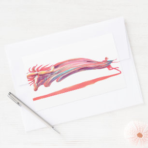 Waved Ballet Dancer Rosa Art Rektangulärt Klistermärke